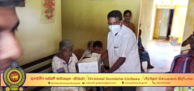 Elder Nursery